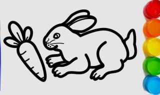 新手画小白兔怎么画 新手画小白兔怎么画