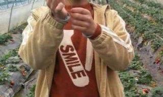 安庆初中排名前十名